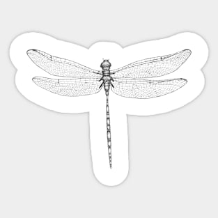 Dragonfly Wings Sticker